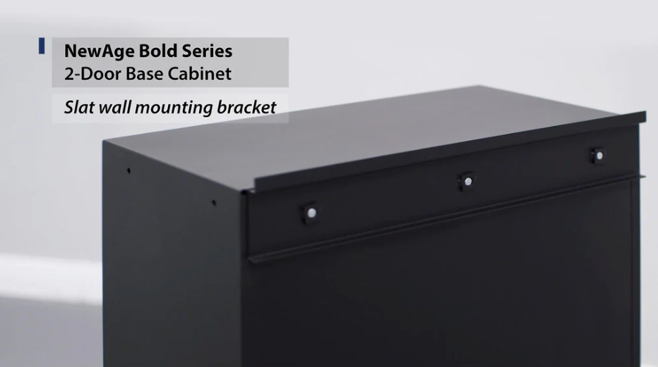 NewAge Bold Series 2-Door 24 in. Base Cabinet - Backyard Livings