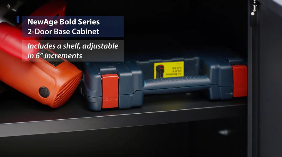 NewAge Bold Series 2-Door 24 in. Base Cabinet - Backyard Livings