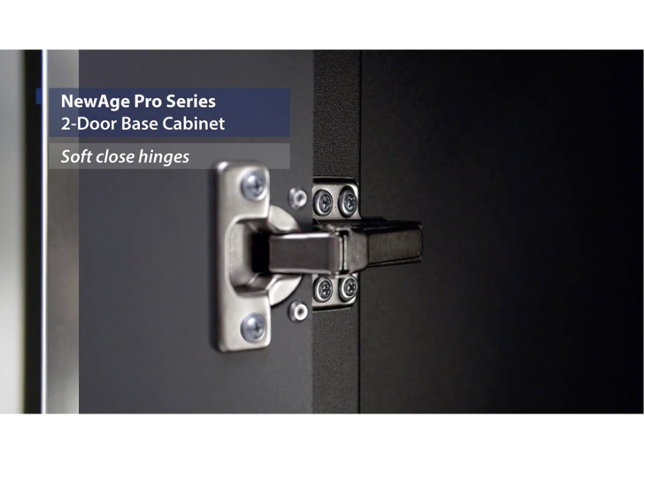 NewAge Pro Series 2-Door Base Cabinet 28 in. - Backyard Livings