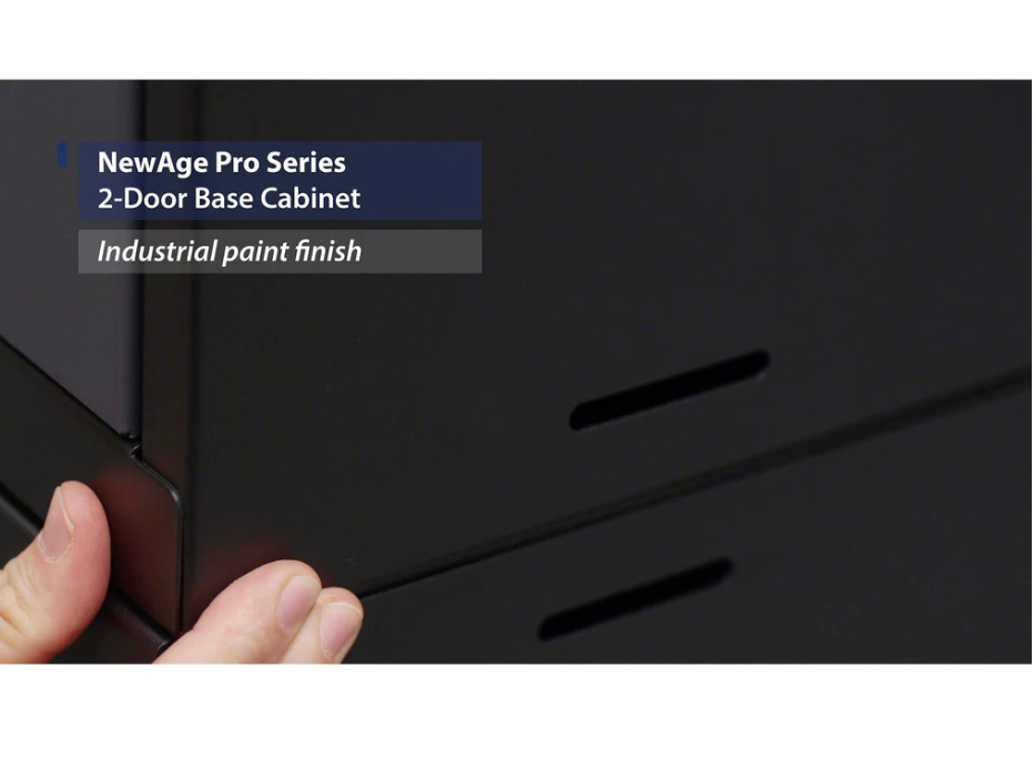 NewAge Pro Series 2-Door Base Cabinet 28 in. - Backyard Livings