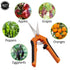 Metal Gardening Scissor for the Garden - Backyard Livings