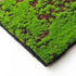 Artificial Moss Lawn Grass - Backyard Livings