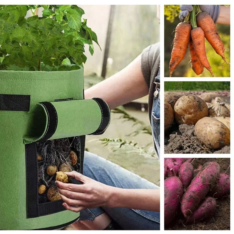 fabric plant grow bags Felt Plant Grow Bags