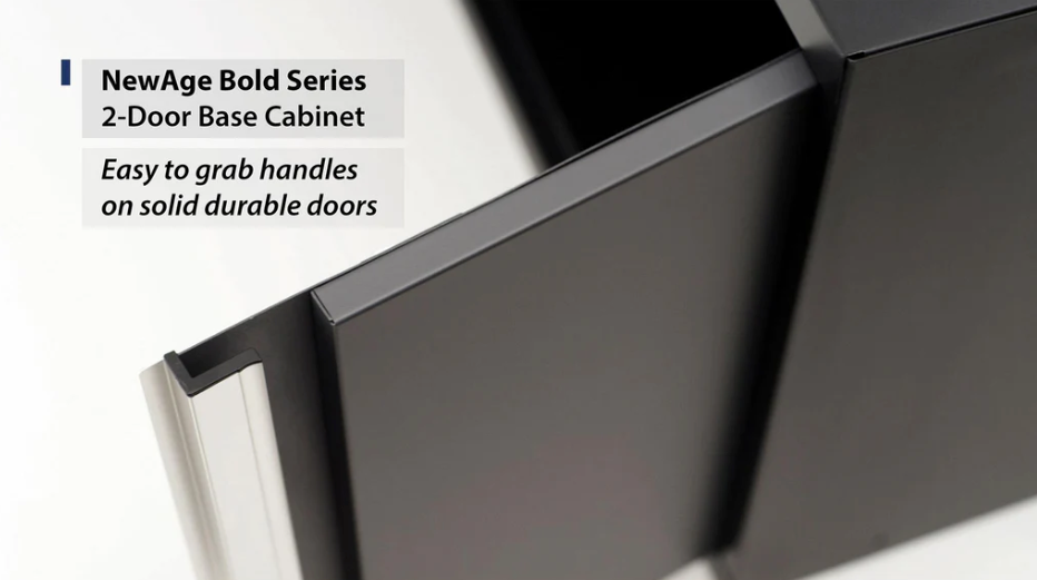 NewAge Bold Series 2-Door 24 in. Base Cabinet