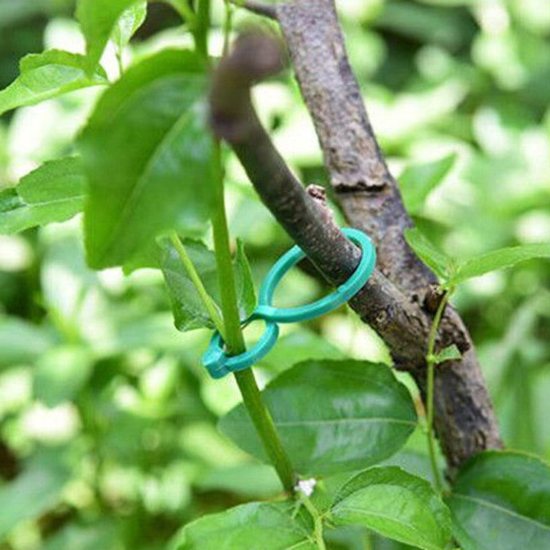 Plant Support Garden Clips