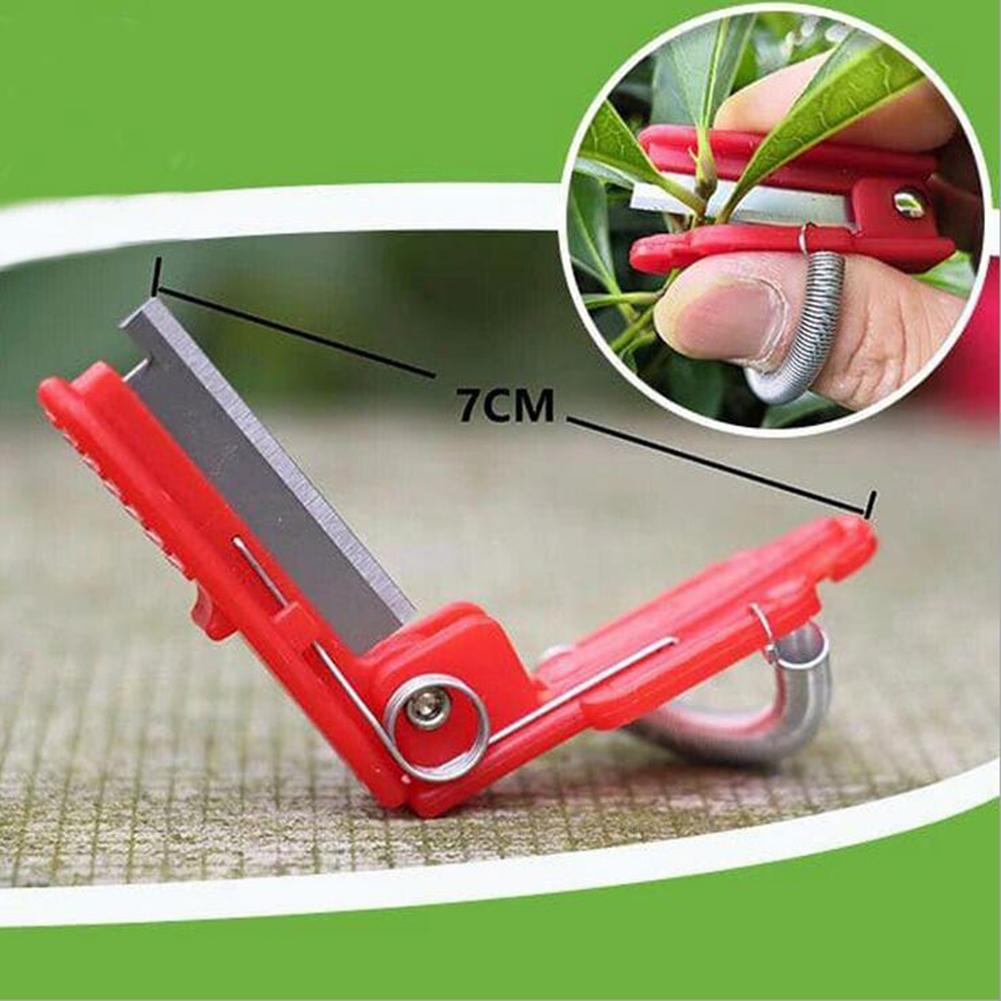 Fruit Picking Device for the Garden