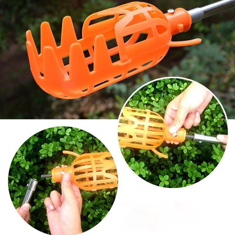 High-Altitude Fruit Picker for the Garden