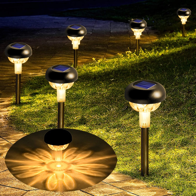 Outdoor Solar Pathway Light for the Backyard