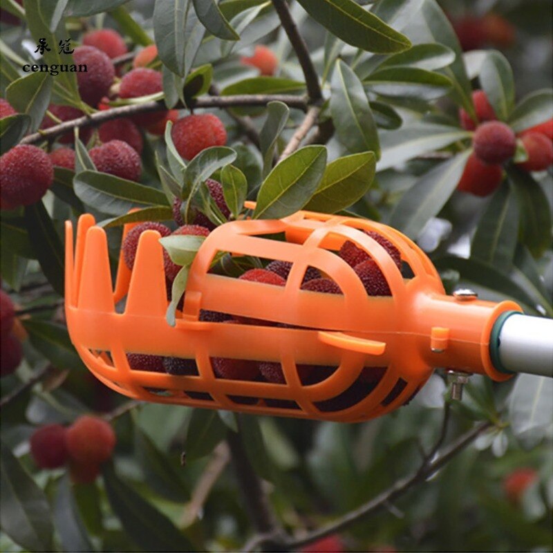 High-Altitude Fruit Picker for the Garden