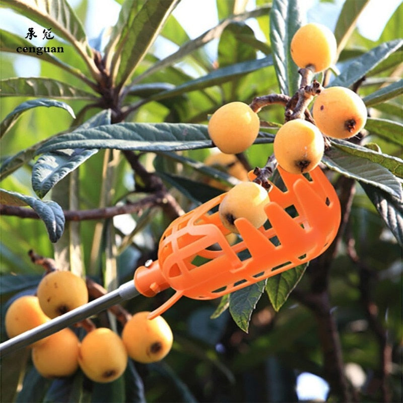 High-Altitude Fruit Picker for the Garden