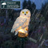 Garden Solar Owl Light for the Backyard