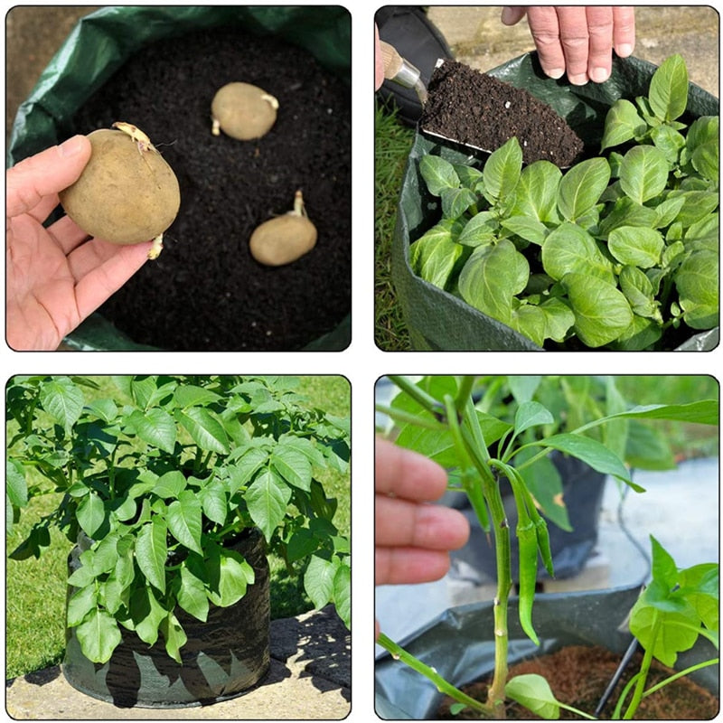 Felt Plant Grow Bags