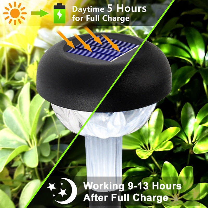 Outdoor Solar Pathway Light for the Backyard
