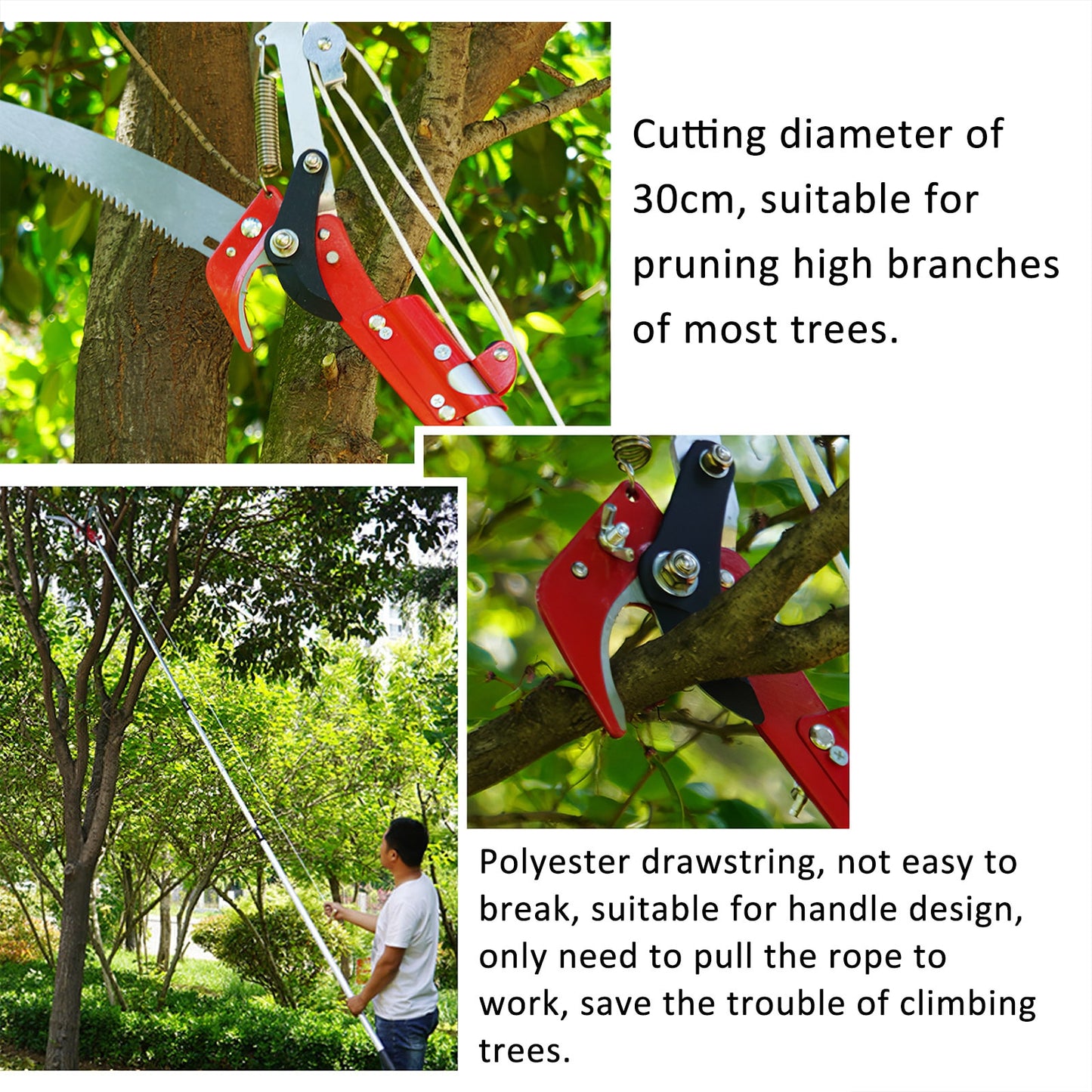 Extension Branch Scissors for the Garden