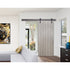 Durasheds DuraMax Milo Flush Wooden Barn Door Door Color:  Ash Gray